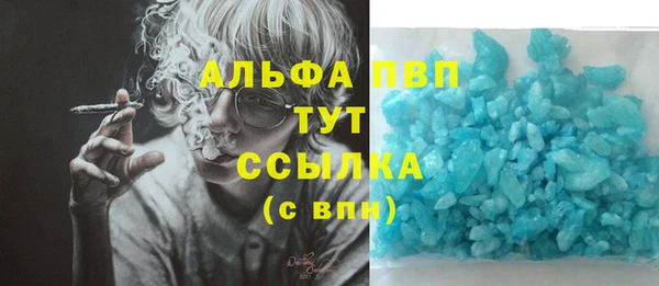 сатива Кукмор