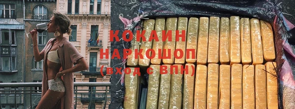 сатива Кукмор