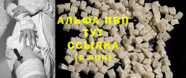 сатива Кукмор